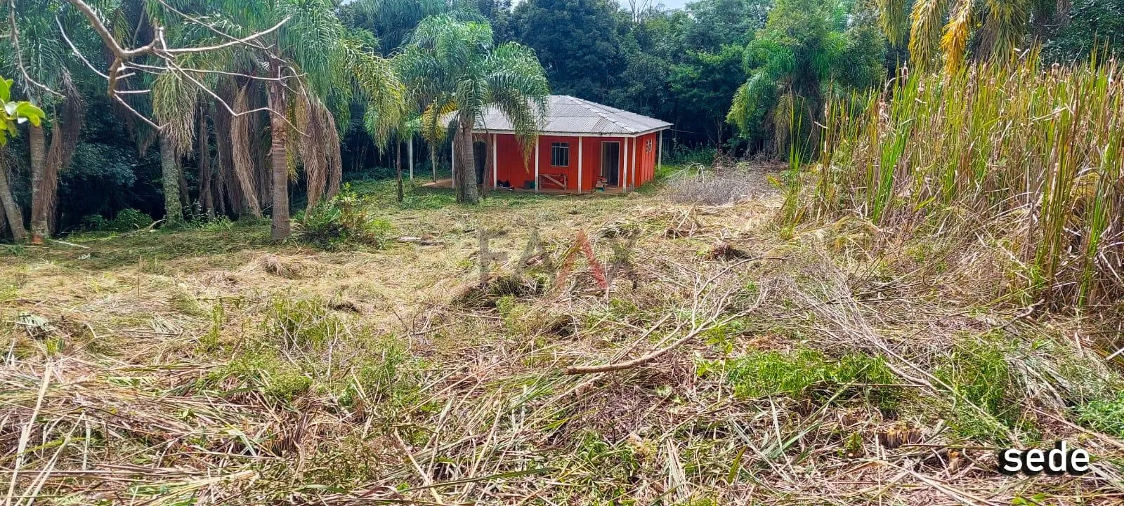 Imagem Chácara com 2 dormitórios à venda,60500.00 m , Guabiroba, GUARAPUAVA - PR