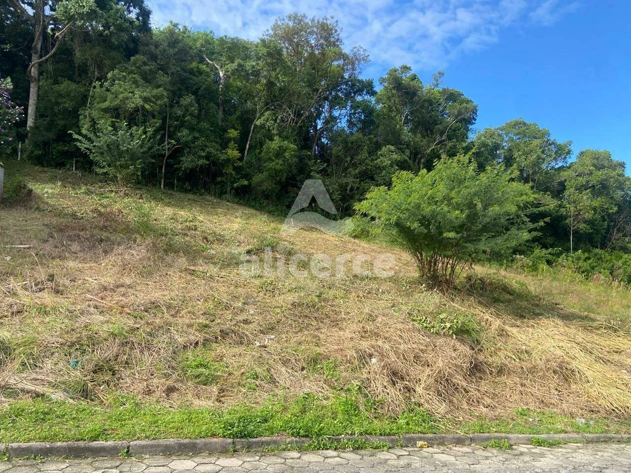Imagem Terreno com 3.643 m², Viabilidade 70 % para Desmembramento e Construção - Forquilhas, São José/SC
