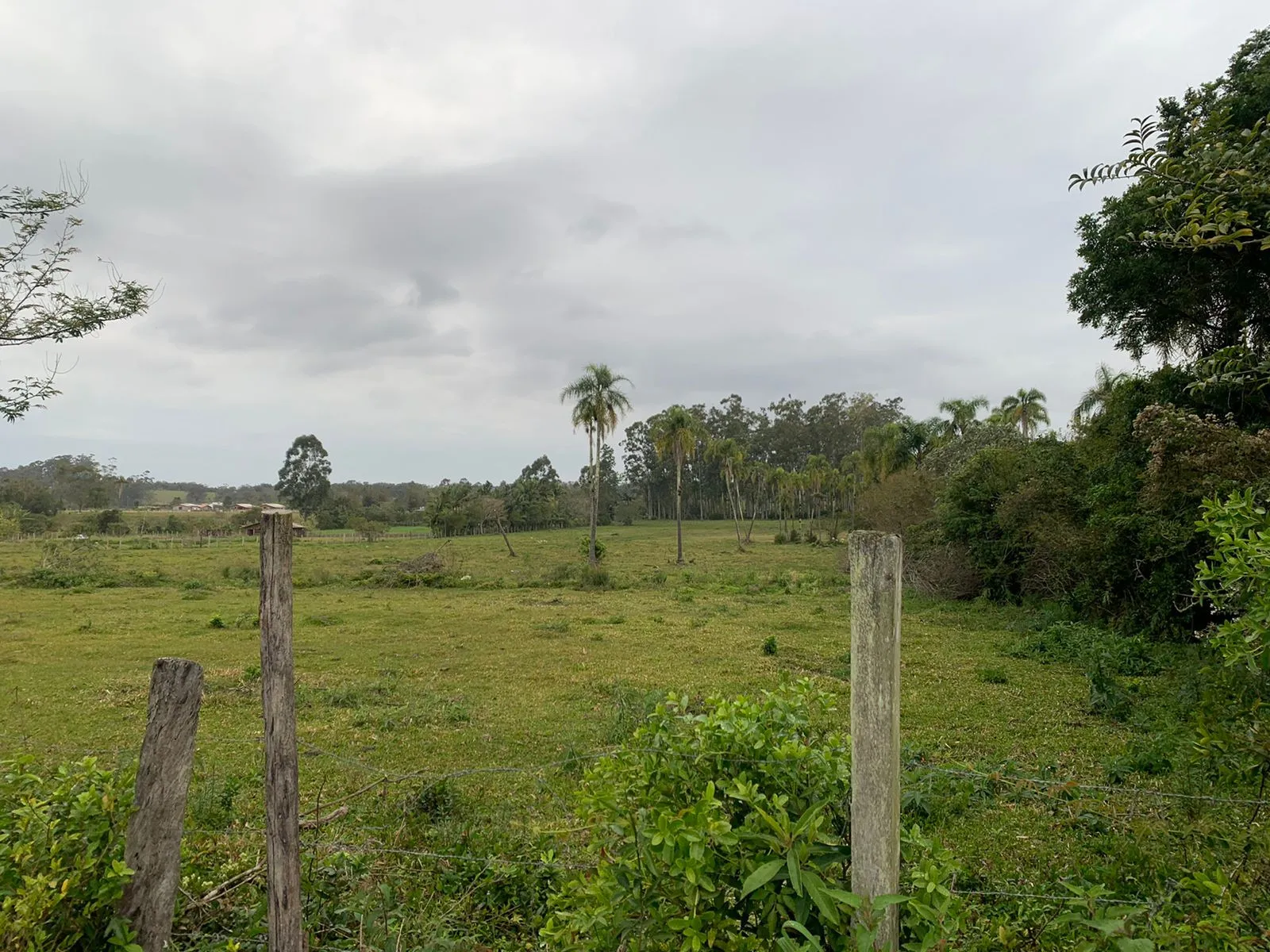 Imagem Lote à venda em Torres, Centro, 1700m2