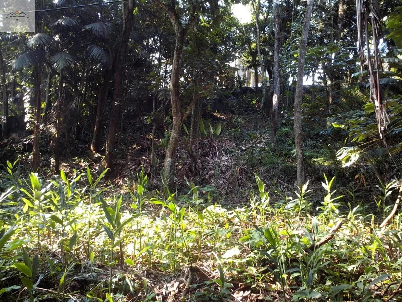 Imagem TERRENO RESIDENCIAL em Diadema - São Paulo, Eldorado