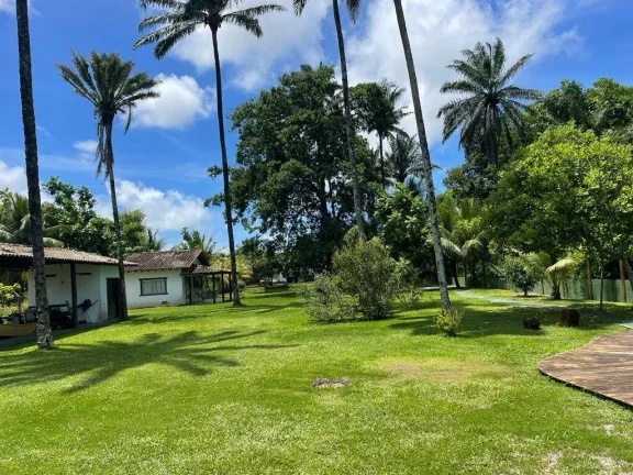 Imagem Paraíso Taipu de Dentro