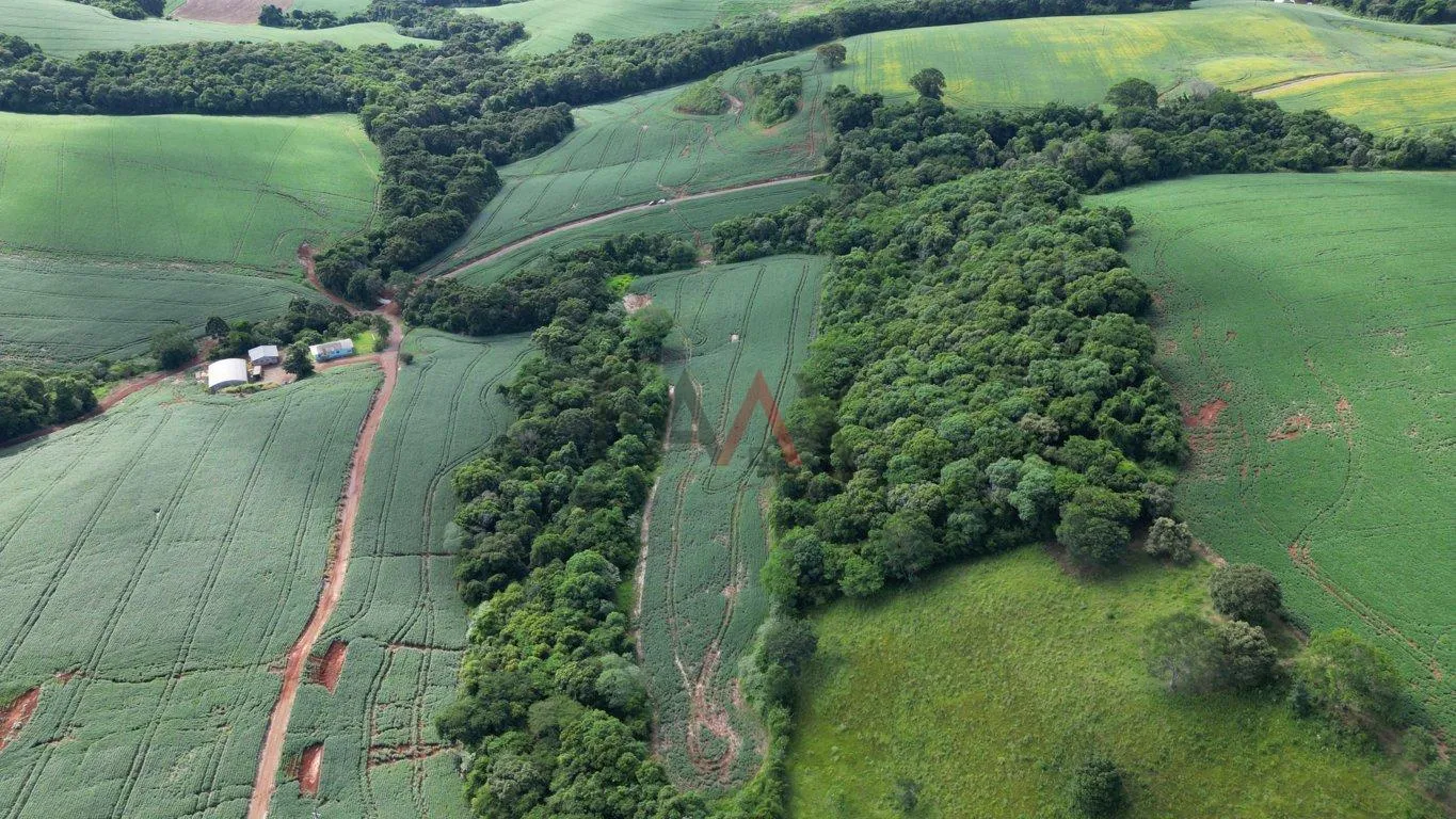 Imagem Àrea de plantio a venda em PITANGA - PR, 12ha sendo 10ha de plantio.