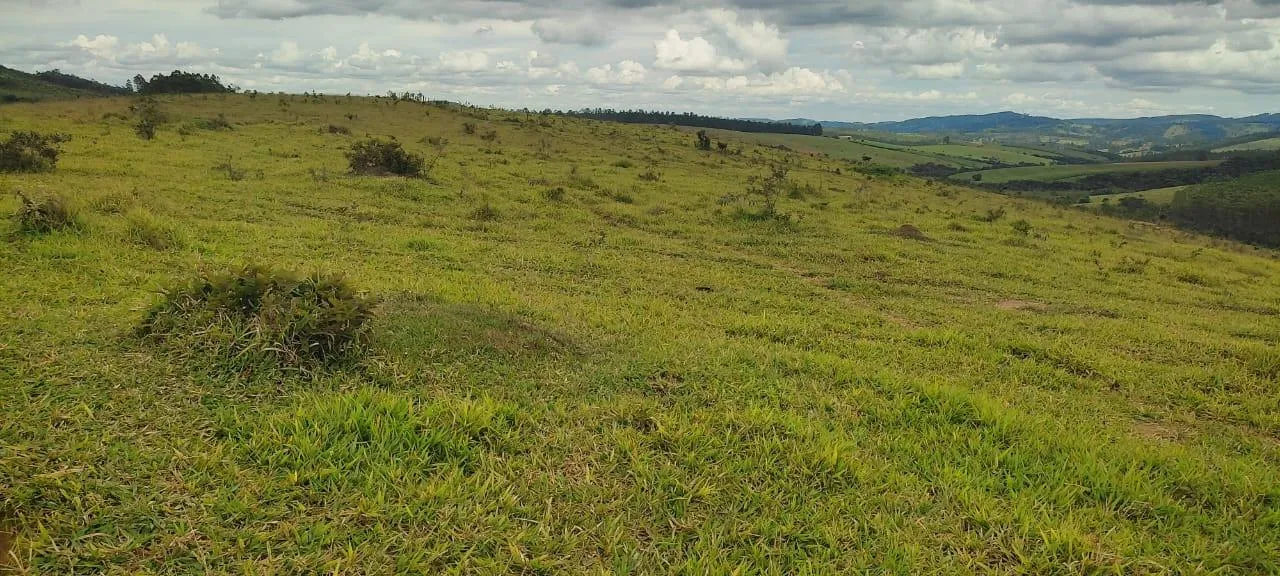 Imagem endo uma excelente fazenda em Desterro de Entre Rios com 277 hectares de terra
