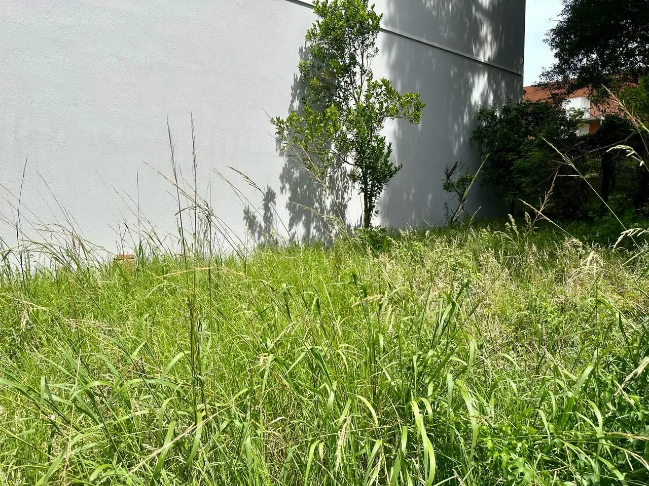 Imagem Terreno à venda em Caxias do Sul, Petrópolis, 334.5m2