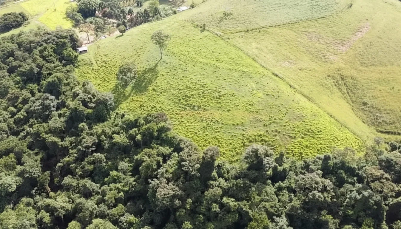 Imagem Sítio 4,17 ha à venda em Santana de Caldas, Caldas