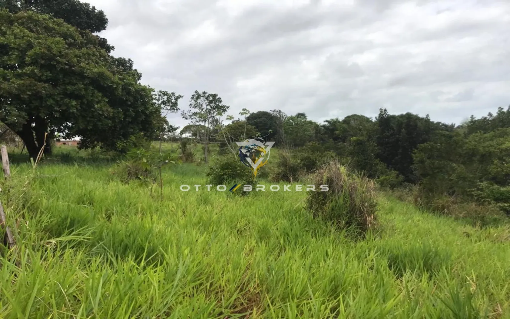 Imagem AREA RESIDENCIAL em SANTA CRUZ CABRÁLIA - BA, TÂNIA