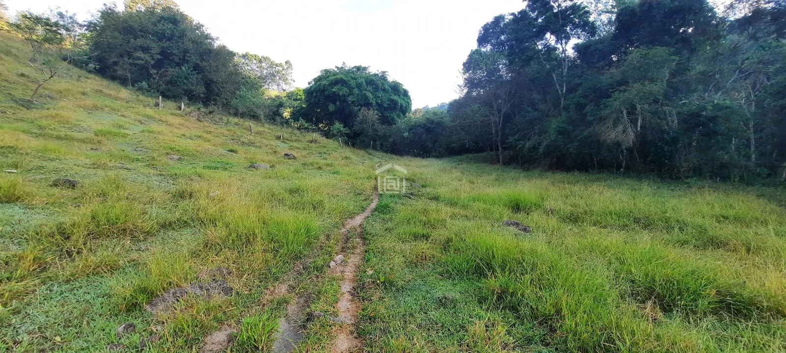 Imagem Sítio à venda em Córrego das Foices, Bandeira do Sul