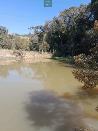 Imagem Terreno incrível para criação de animais e plantio