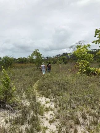 Imagem Terreno com 650.000m² à venda no bairro Velha Boipeba, em Cairu-BA