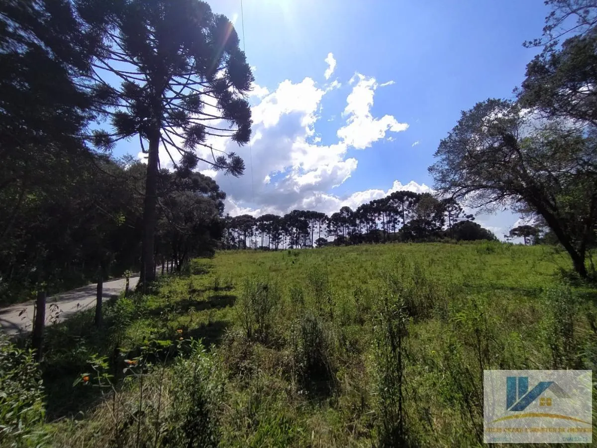 Imagem Terreno para Venda em São José dos Pinhais, Contenda, 1 dormitório