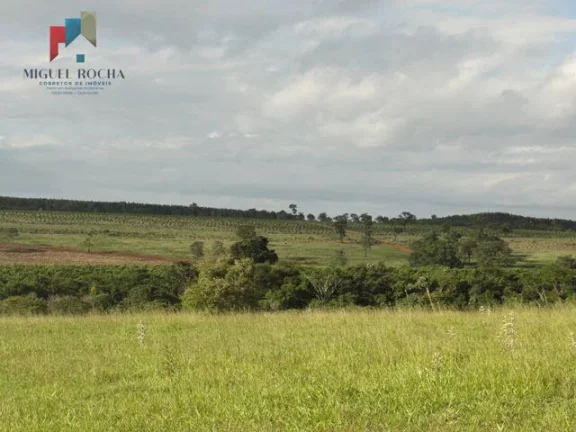 Imagem Fazenda região de Itapetininga SP