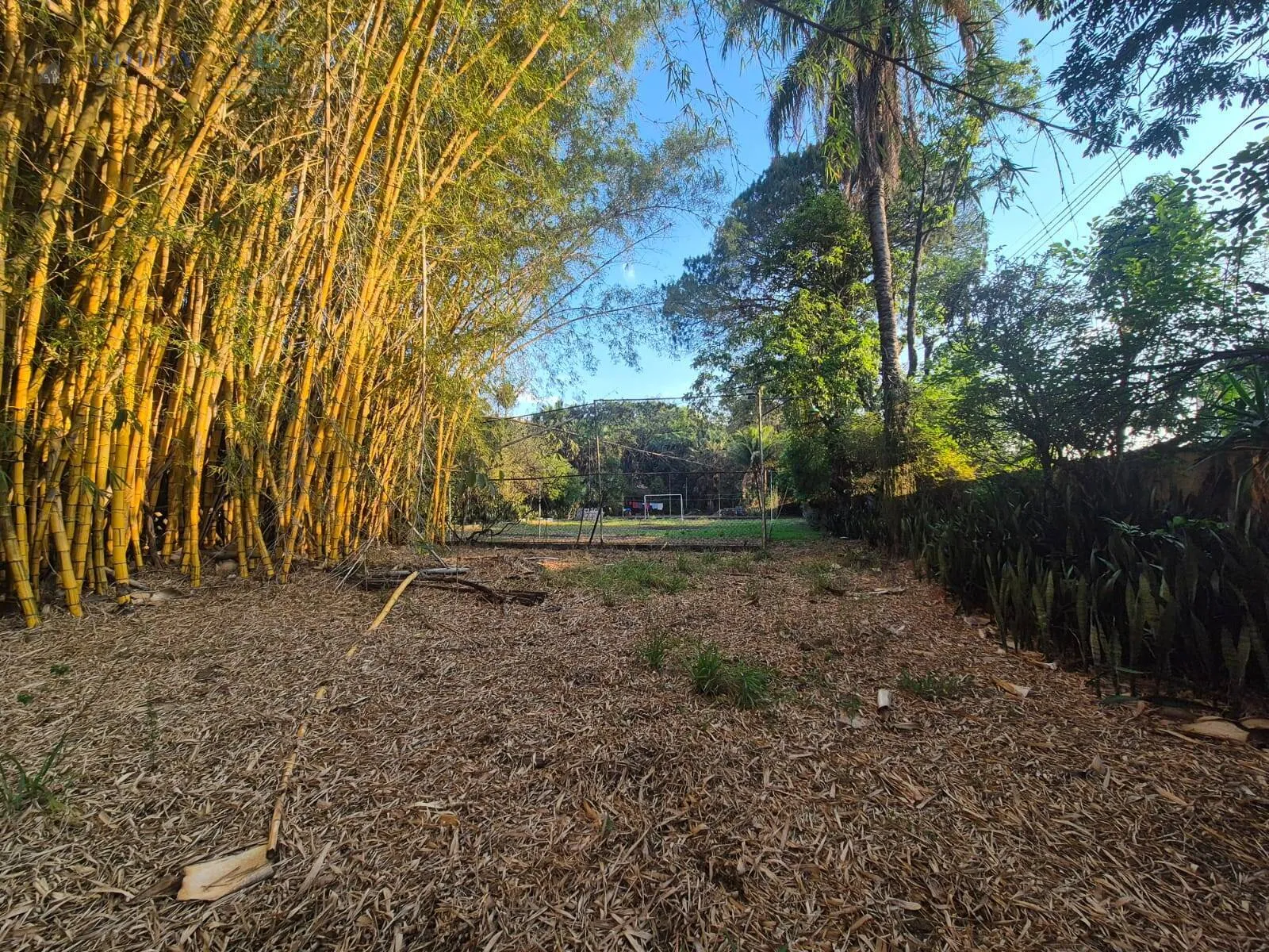 Imagem Oportunidade Única! 10.642m² em Avenida Principal - Ideal p/ Empreendimento