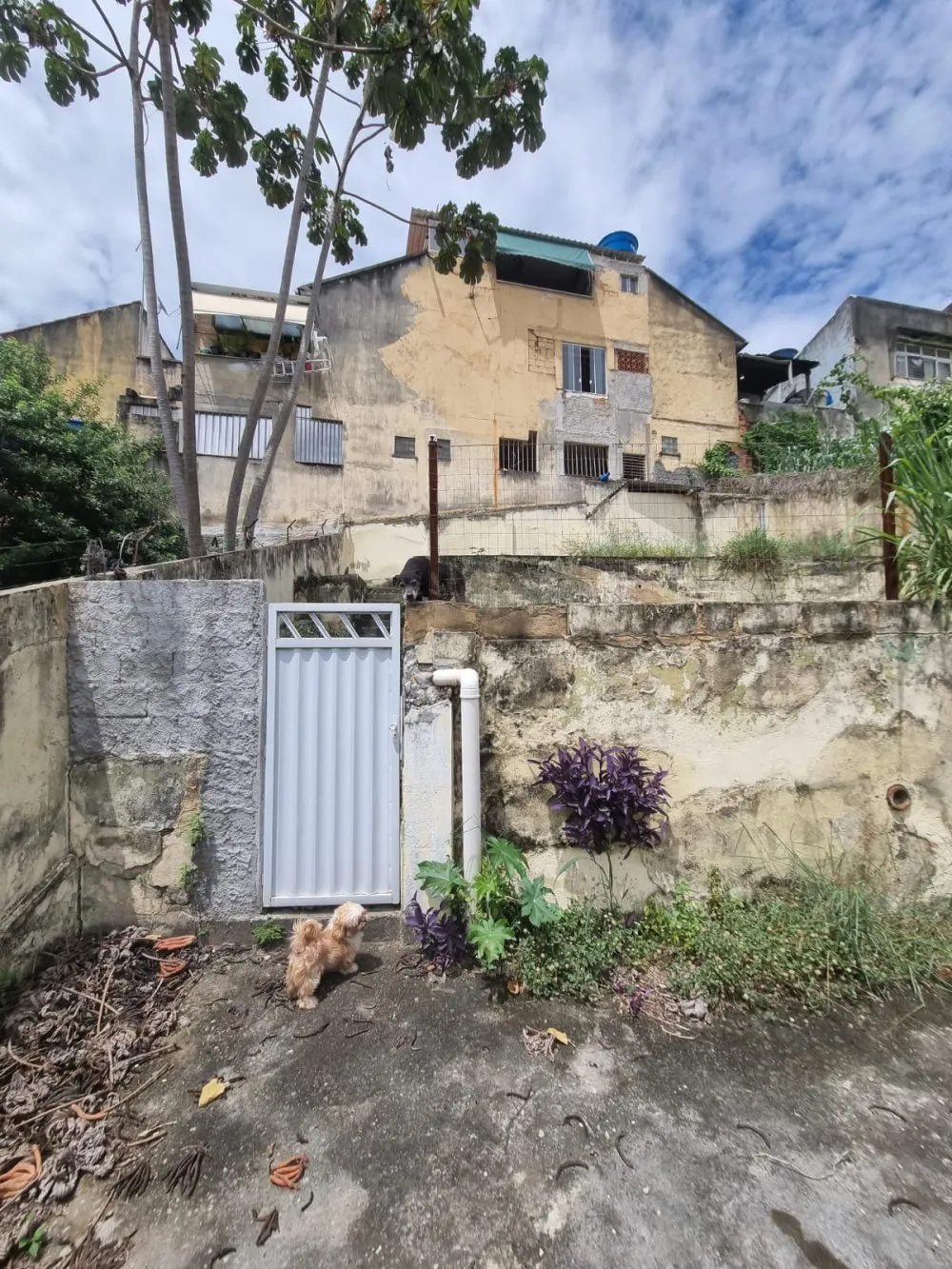 Imagem Casa a Venda no bairro Piedade - Rio de Janeiro, RJ