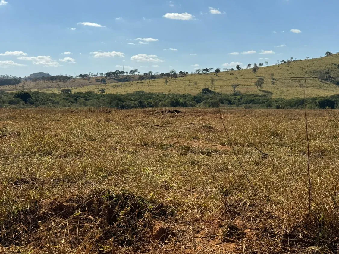 Imagem VENDE-SE FAZENDA EM PASSA TEMPO / MG área total de 100 hectares