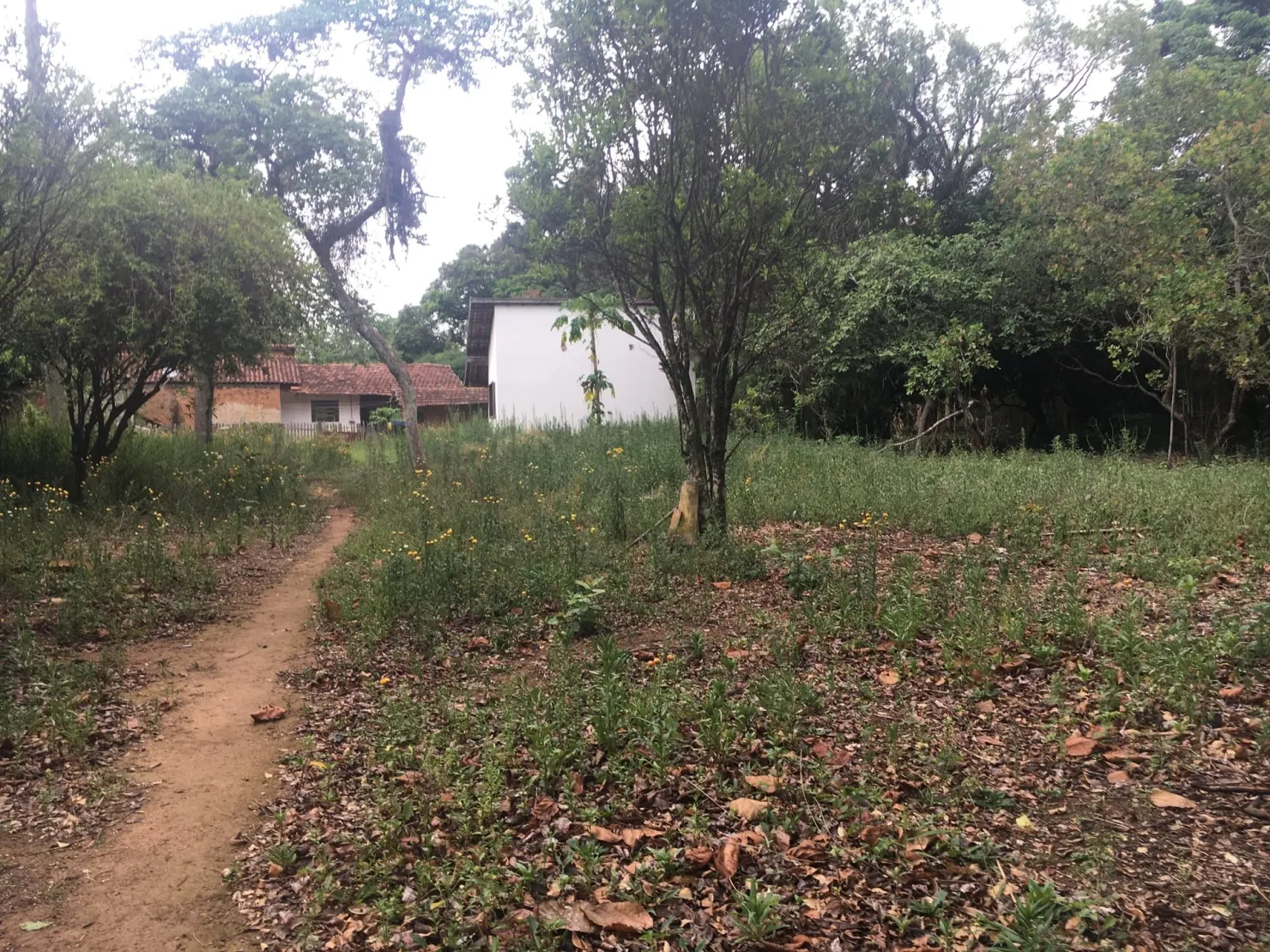Imagem Terreno à venda 9 Quartos, 29773.51M², Bela Vista, Pindamonhangaba - SP