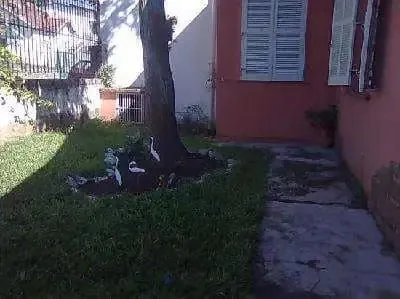 Imagem Casa de 03 dormitórios com suite à venda no bairro Medianeira, Porto Alegre