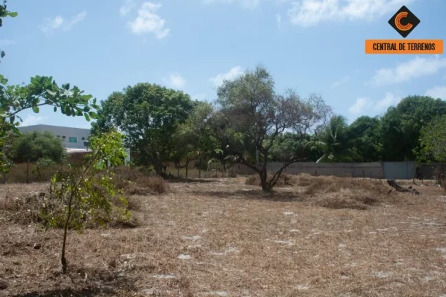 Imagem TERRENO EM MONTE GORDO