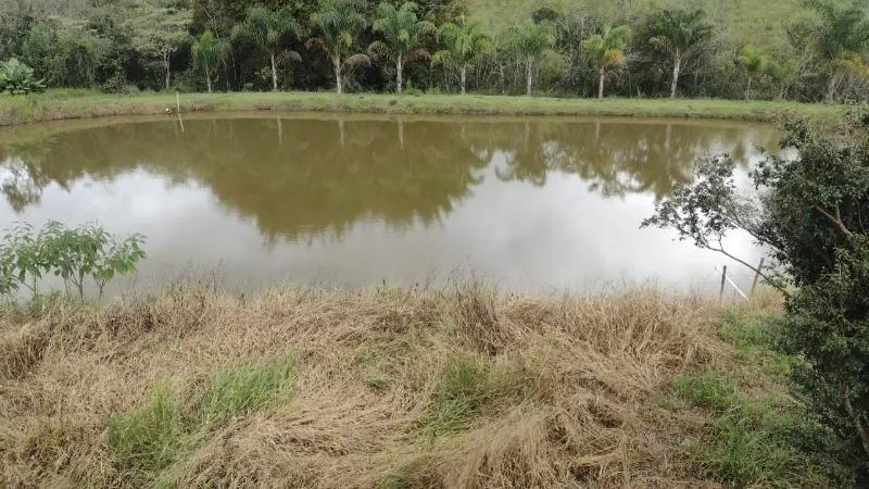 Imagem Vendo Sítio em Lagoa Dourada / MG , com 12.500 m² de área.