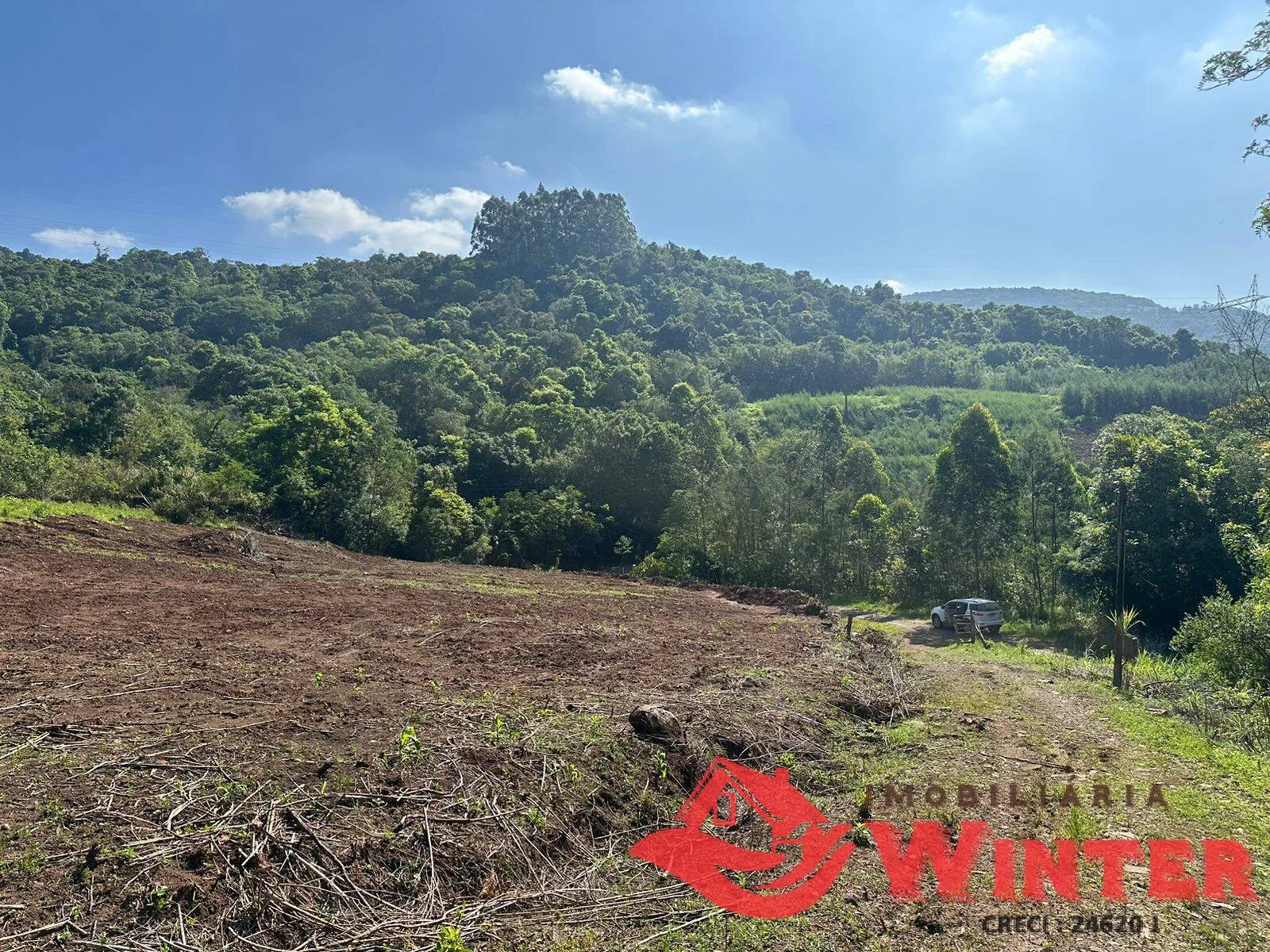 Imagem Área de terras com 10 hectares em Linha Nova