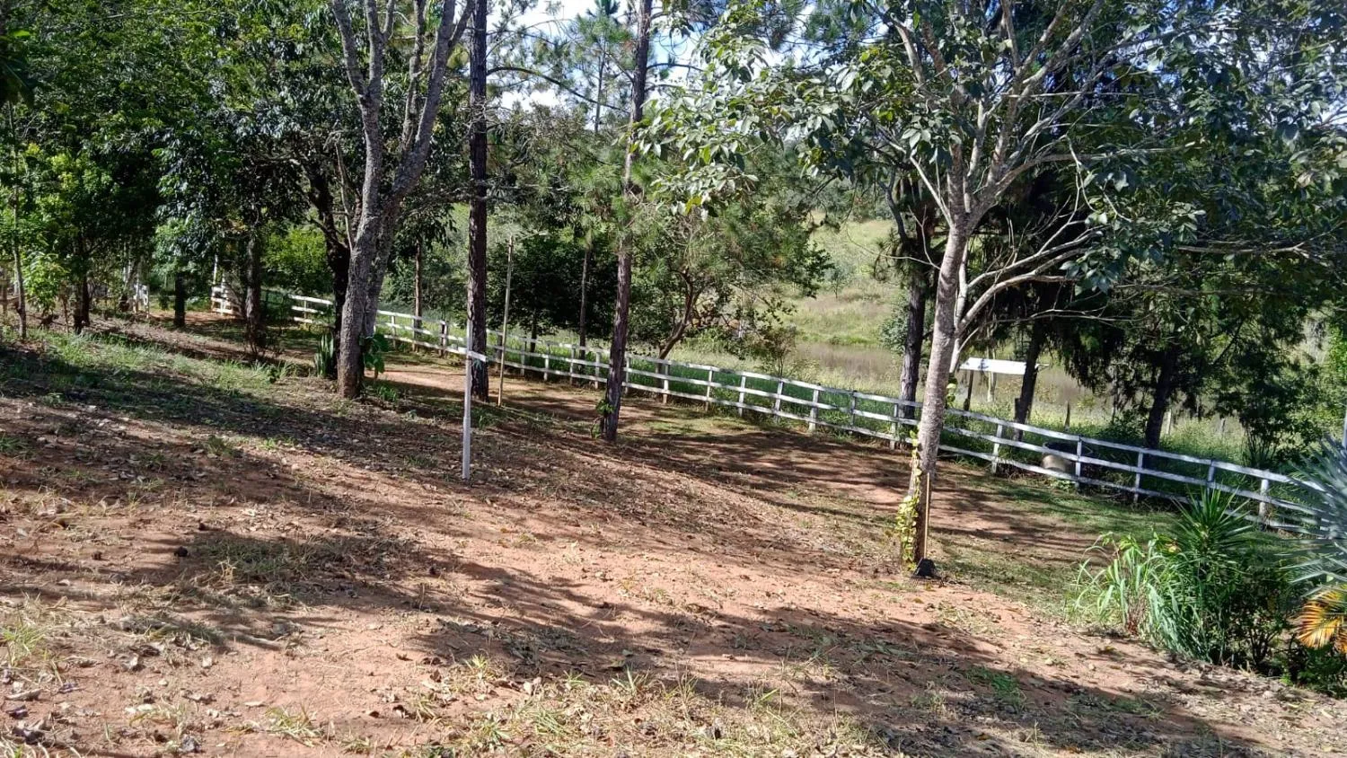 Imagem Vendo um excelente sítio em Carmo do Cajuru /MG , com 90.000 m² de área,