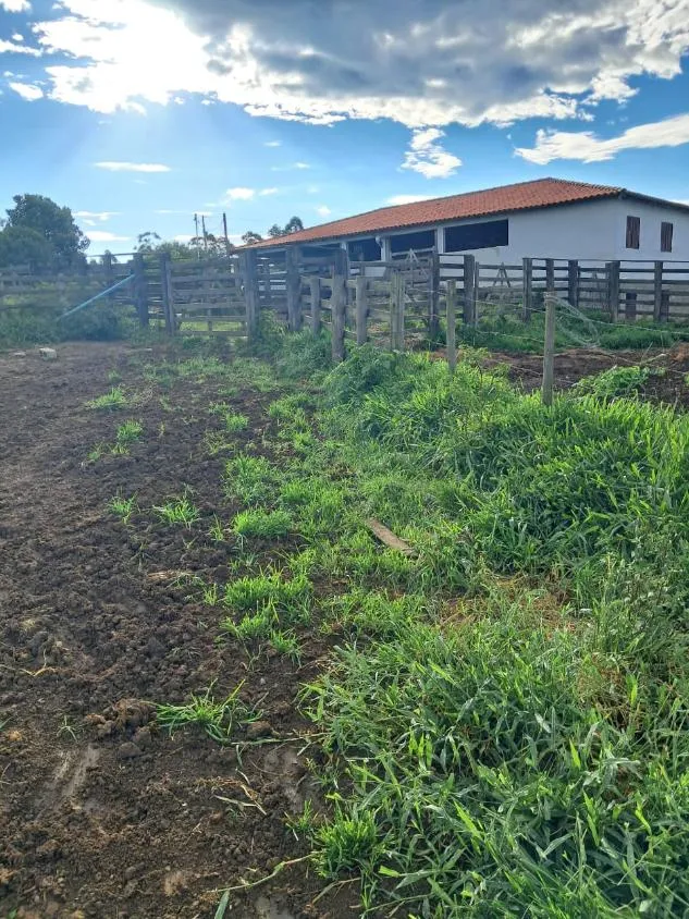Imagem VENDE-SE FAZENDA EM PASSA TEMPO / MG área total de 100 hectares