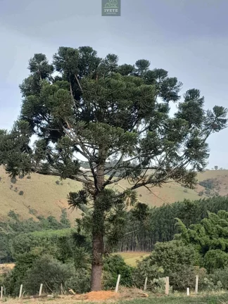 Foto do imóvel Socorro SP Terreno a Venda Localizado no Bairro da Pompéia