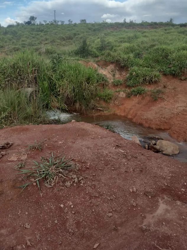 Imagem Excelente fazenda com 194 hectares de terra de cultura disponível para venda