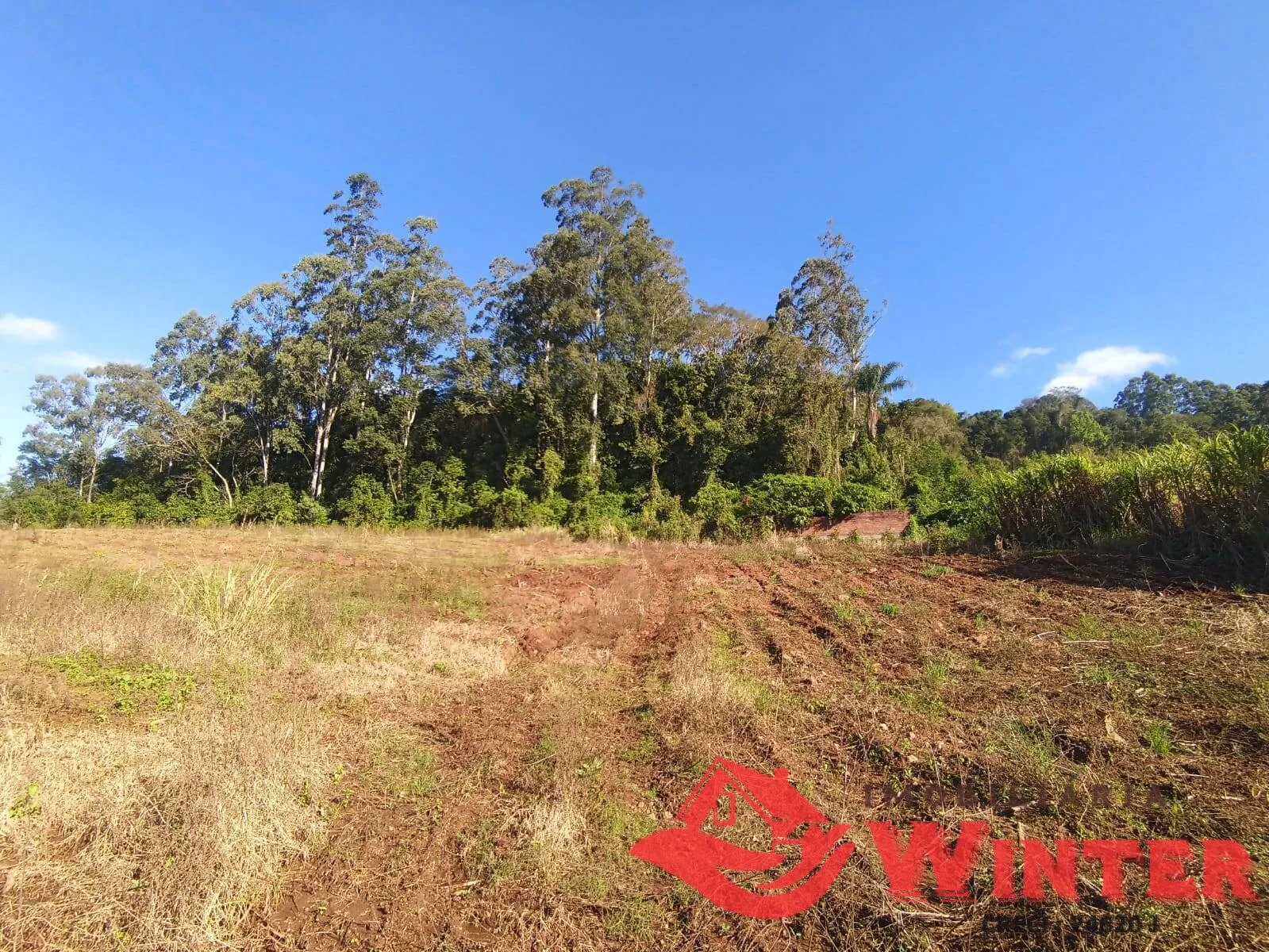 Imagem Área de terras com 3 hectares no Bananal!