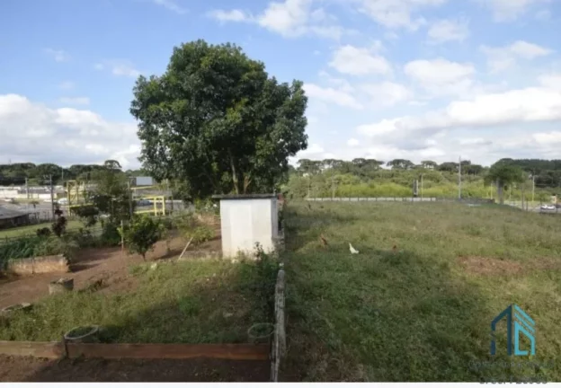Imagem Área de 24.800m2 na Rodovia BR 116 (Regis Bitencourt) em Curitiba/PR