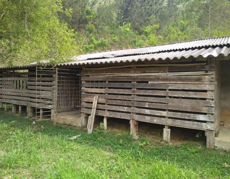 Imagem Chácara à venda, Cedro, Cunha, SP