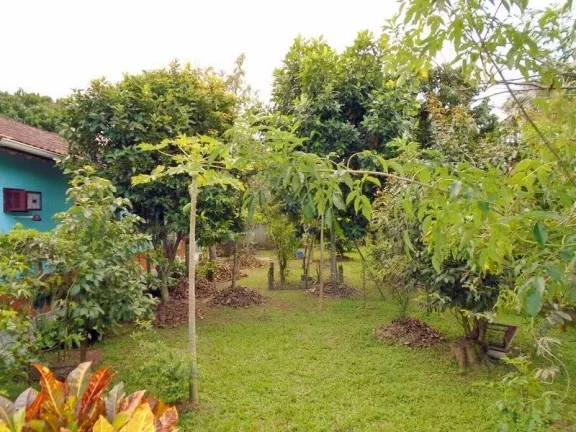 Imagem CASA COM BELO POMAR E EDÍCULA