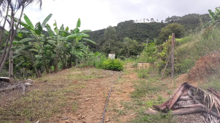 Imagem SITIO RURAL em CALDAS - MG, LARANJEIRAS DE CALDAS
