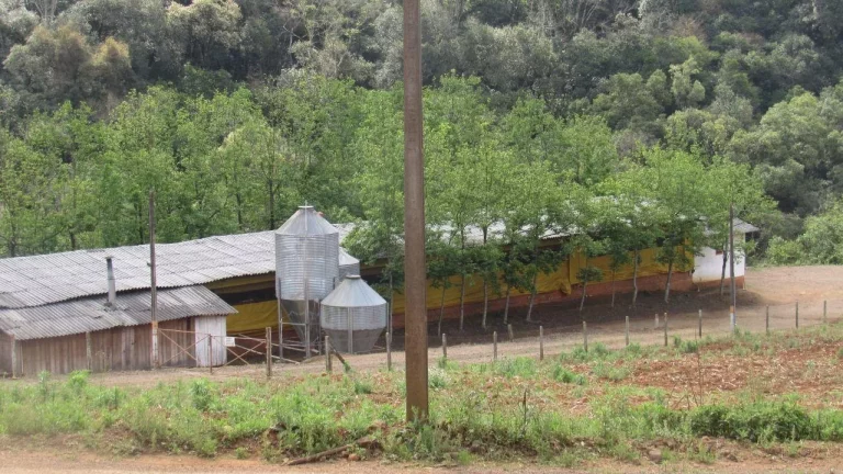 Imagem Área Agrícola para Venda em Lindóia do Sul, Interior