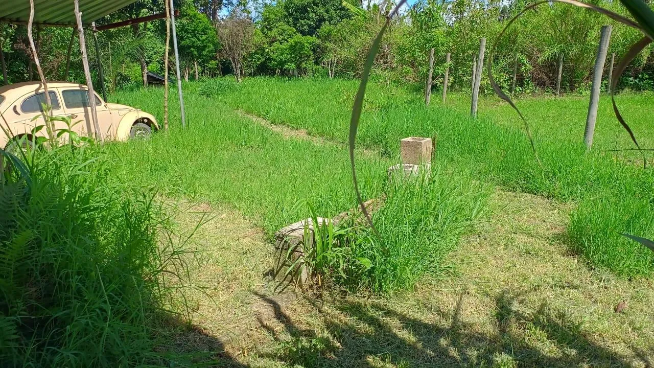 Imagem Vendo ótima chácara em Crucilândia com 7.000 m² de area