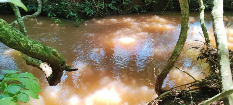 Imagem Chácara à venda em Cascavel - São Salvador - Lavoura e Rio