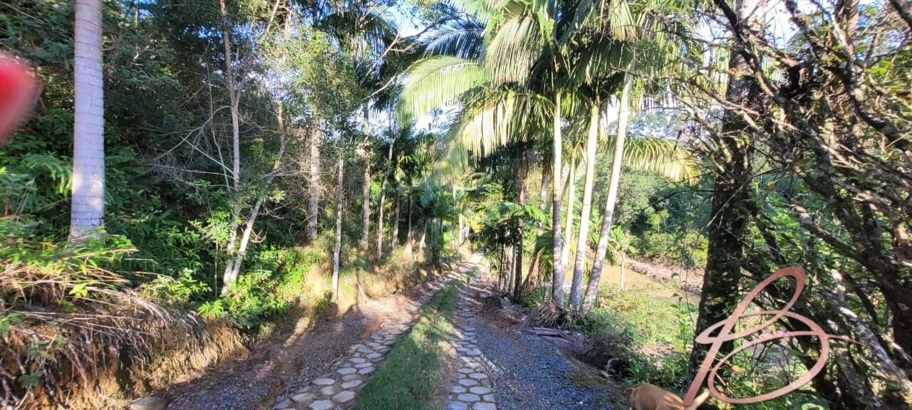 Imagem Lindo Sítio em Ilhota - SC