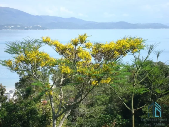 Imagem Terreno 23.000 M², próximo a duas marinas e a 50 metros da praia, em Jurere - Florianópolis SC