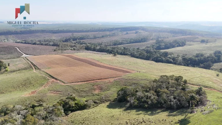 Imagem Sítio São Miguel Arcanjo/SP