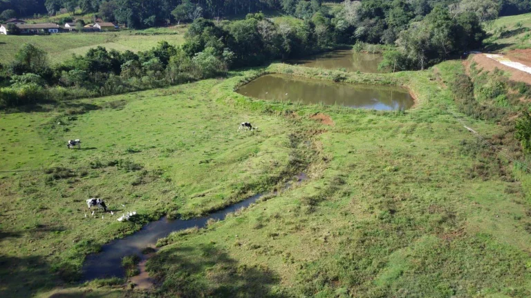 Imagem Área Agrícola para Venda em Concórdia, Interior