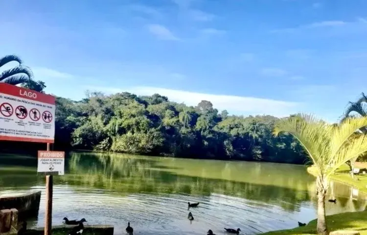 Imagem Oásis de Serenidade: Terreno Exclusivo com Projeto Pronto em Reserva Ipanema