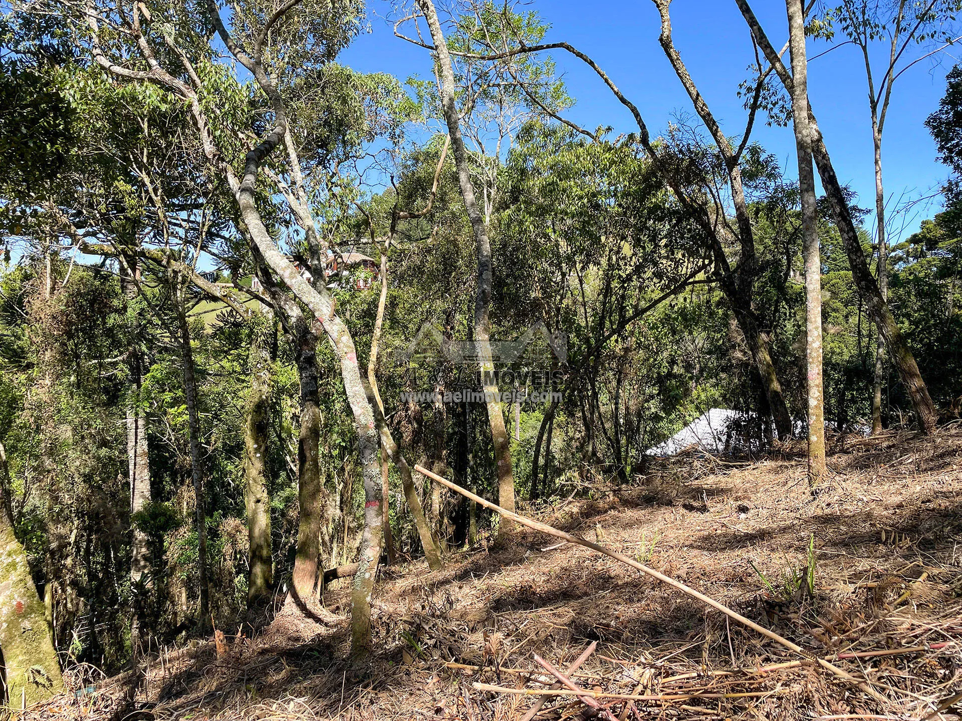 Imagem Terreno à venda em Campos do Jordão - Excelente opção para investimento