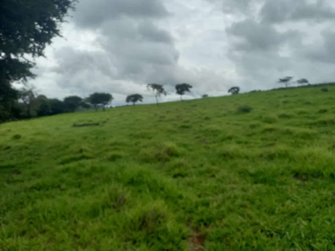 Imagem Excelente terreno rural à venda em Passa Tempo/MG 50 hectares de terra