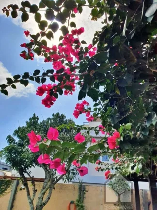 Imagem Excelente casa com um lindo quintal próxima à praia do Campeche