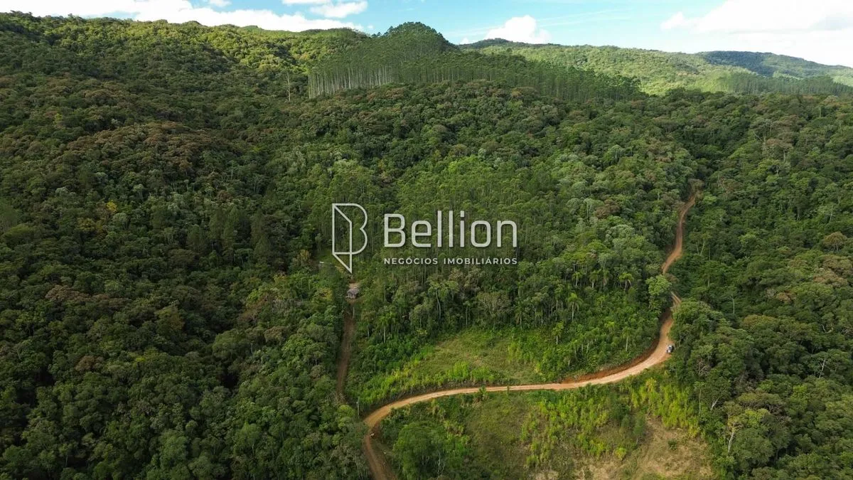 Imagem 141.367m² com Cachoeira e Potencial para Chalés em Ribeirão Coração, Benedito Novo