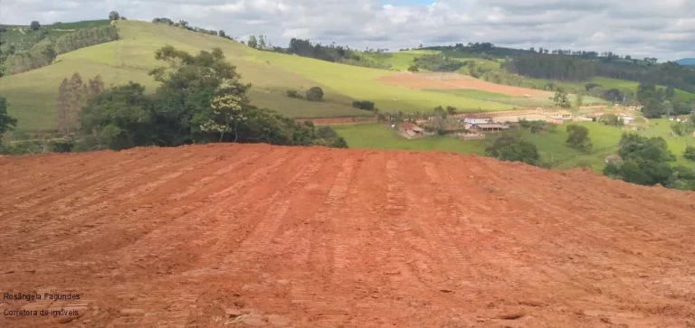 Imagem CHACARA RURAL em BANDEIRA DO SUL - MG, ROSEIRA