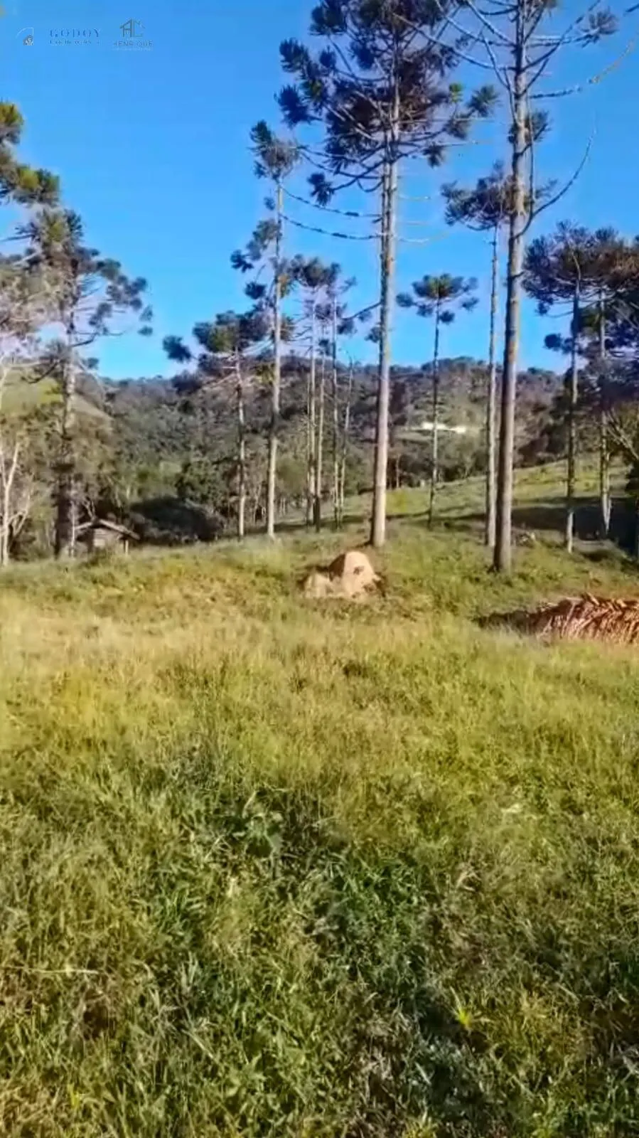 Foto do imóvel Sítio à venda com 16 hectares - Região do Rio Manos | Cunha - SP