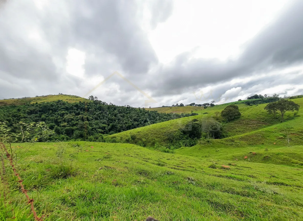 Imagem Sítio 65 m² à venda em Palmeiral, Botelhos