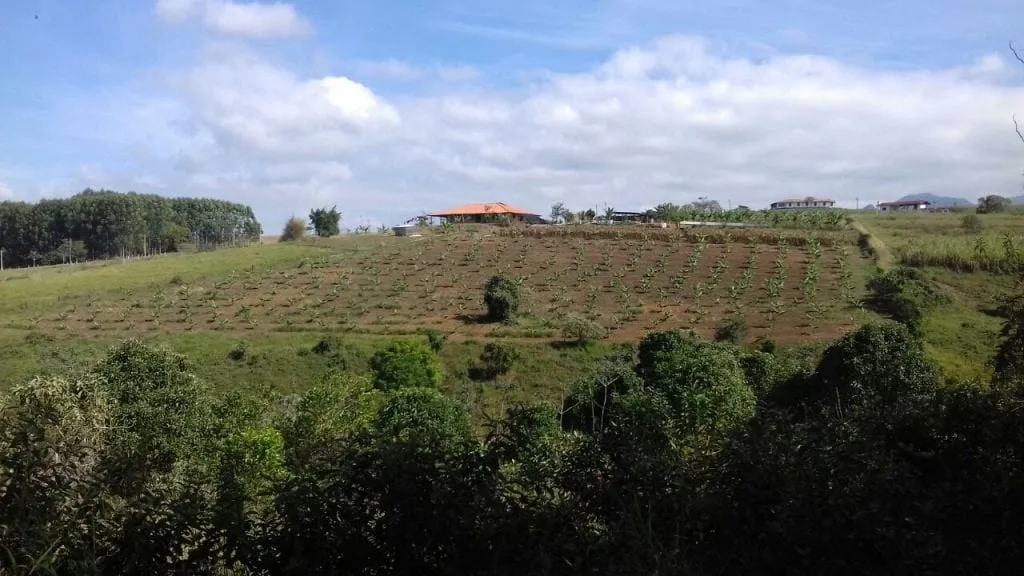 Imagem Chácara à venda 3 Quartos, 1 Suite, 1 Vaga, 96000M², Rio a cima, Guaratinguetá - SP