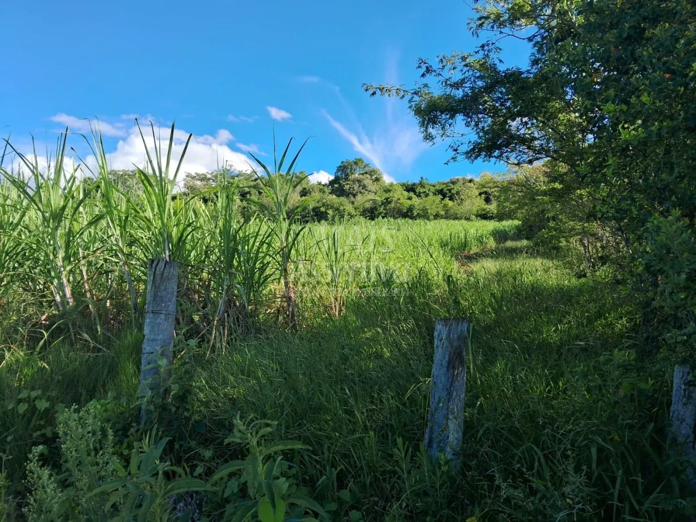 Imagem Área de Terras à venda, localizada em Taquara, ótima para plantação ou criação