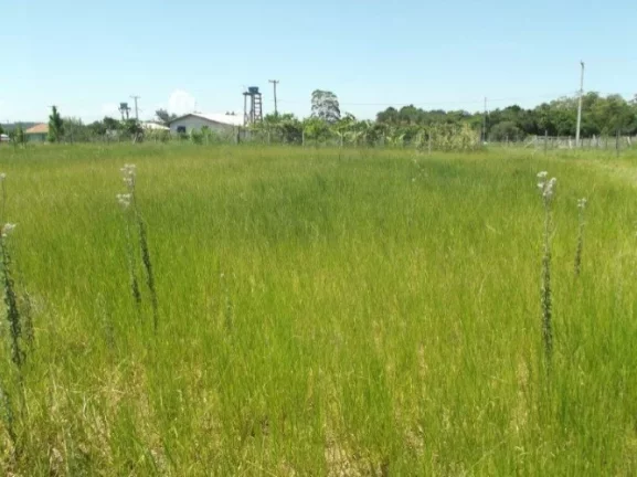 Imagem Terreno residencial em loteamento, Morro Grande / Viamão